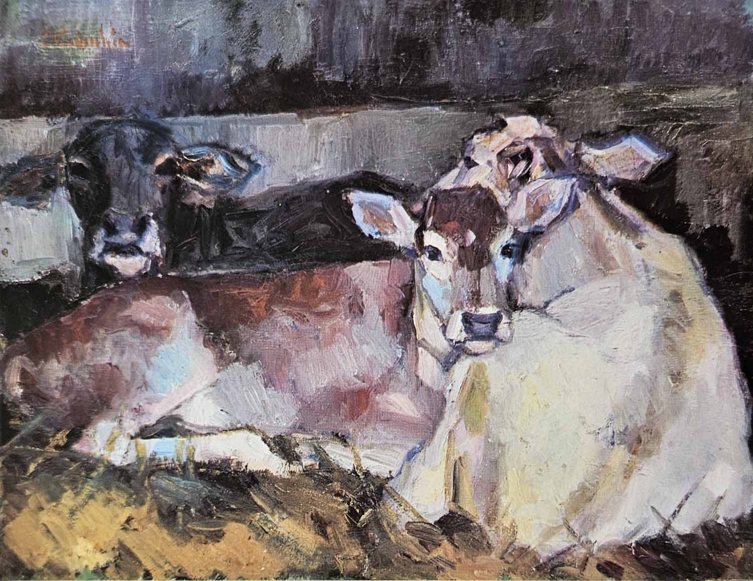 I vitelli sdraiati