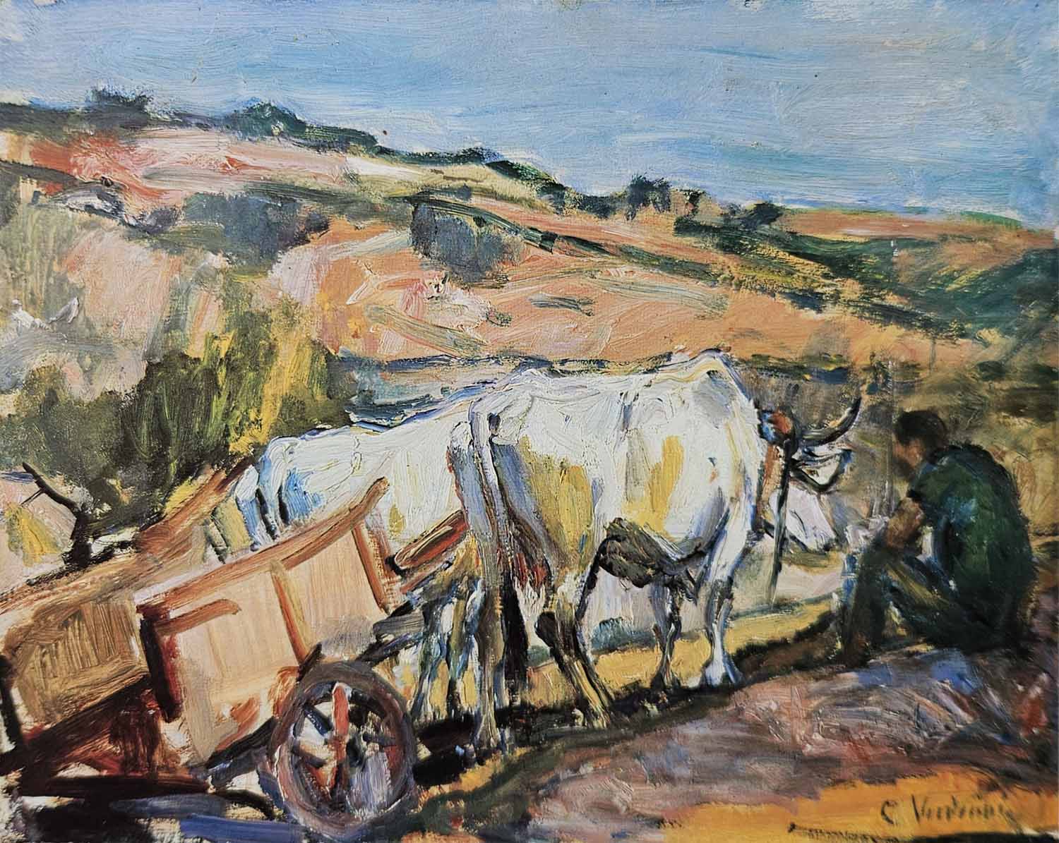 Carretto con vacche al sole