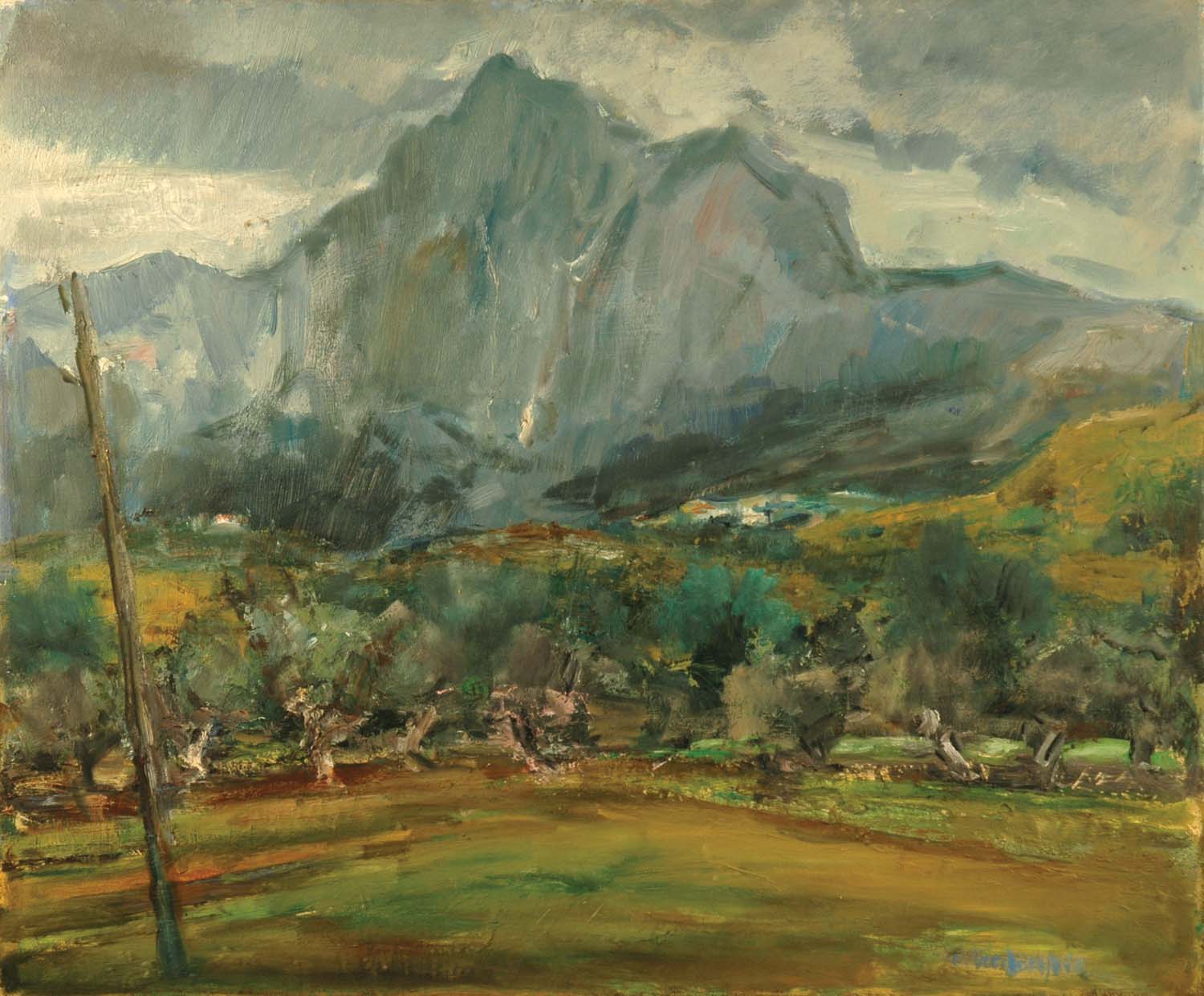Paesaggio del Gran Sasso con ulivi