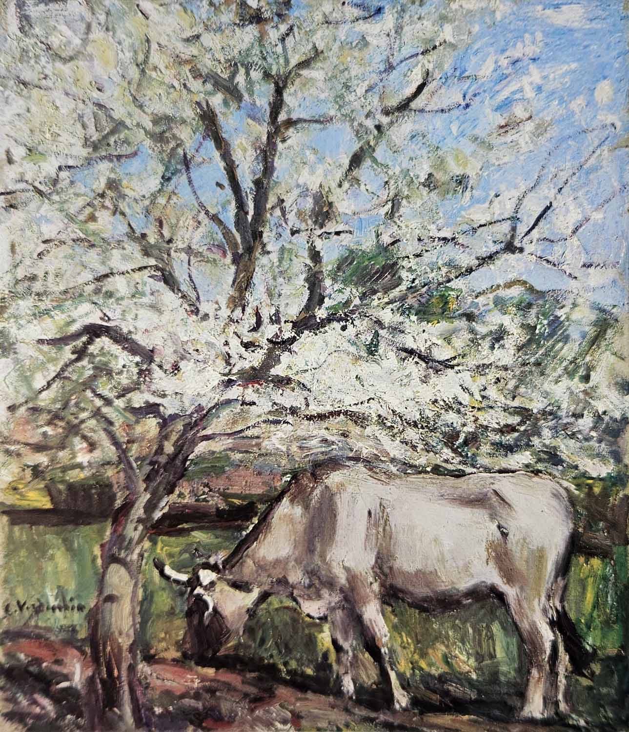 Primavera