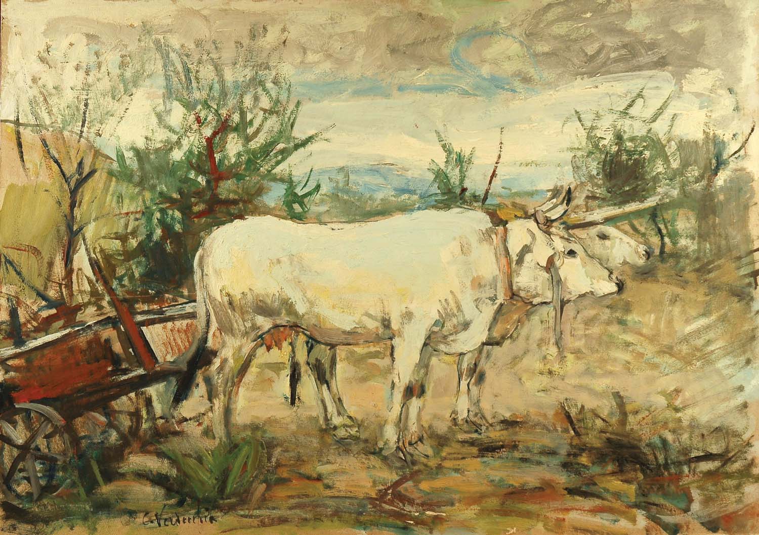 Buoi al carretto