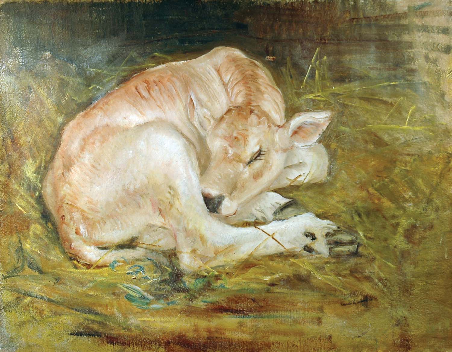 Il vitellino